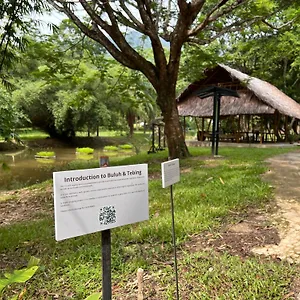 Ambong Rainforest Retreat Ma­lay­sia